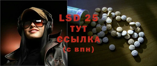 винт Каменка