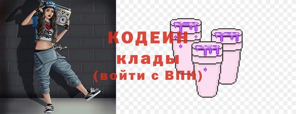 винт Каменка