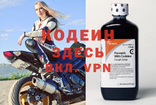 винт Каменка