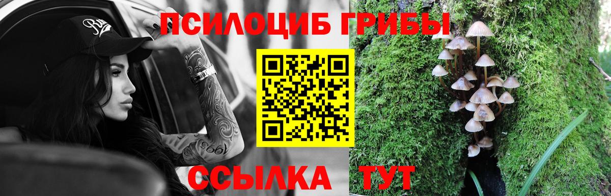 Галлюциногенные грибы MAGIC MUSHROOMS Фрязино