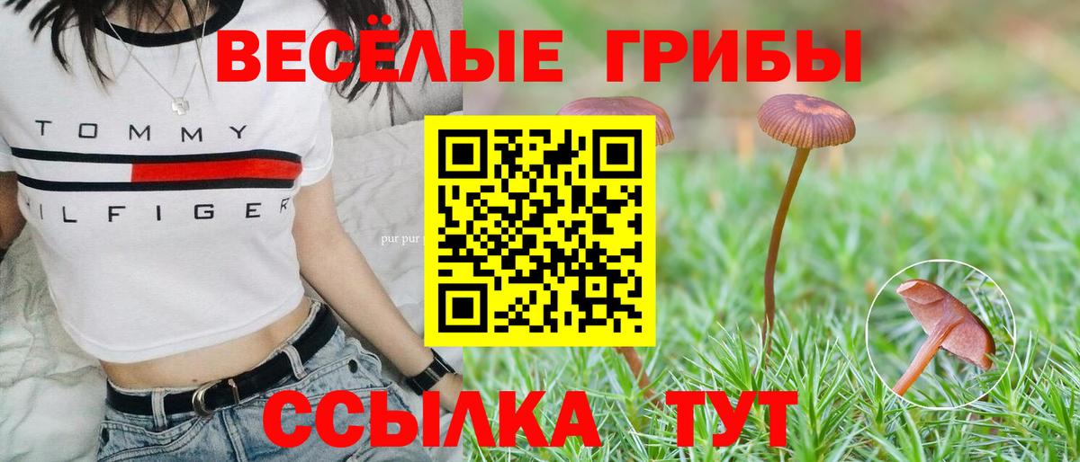 Фрязино  Галлюциногенные грибы Psilocybe  Вход с VPN 